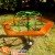 Gira Gira Carrosel Verniz 6 lugares | Animamix