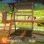 Playground Médio Verniz escada lateral | Animamix