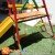 Playground Golfinho | Animamix