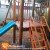 Casa do Tarzan Infantil | Animamix