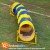 PetAgility Tunel 4mts com suporte | Animamix