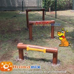 Obstáculos de níveis em Tora para Pet Agility | Animamix